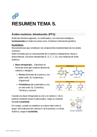 RESUMENTEMA5.-10.pdf
