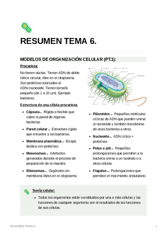 RESUMENTEMA6.pdf