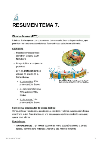RESUMENTEMA7.pdf