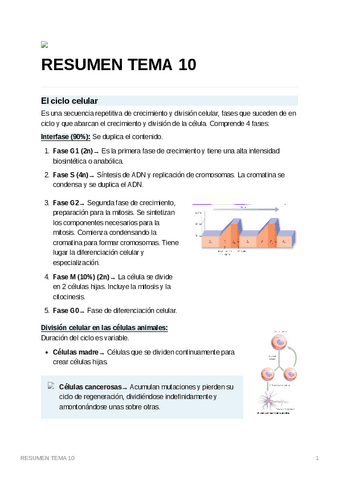 RESUMENTEMA10.pdf