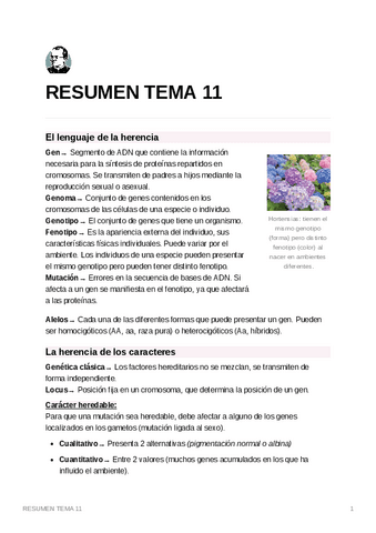 RESUMENTEMA11-1.pdf