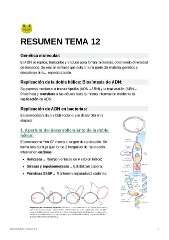 RESUMENTEMA12.pdf