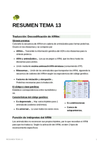 RESUMENTEMA13..pdf