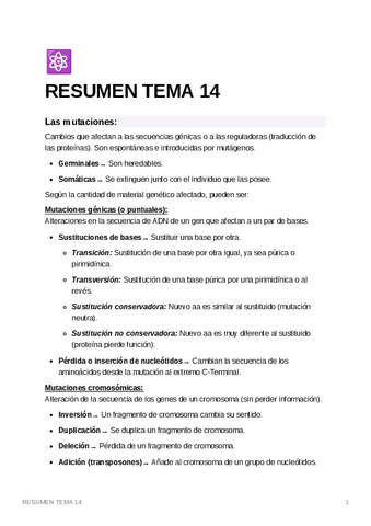RESUMENTEMA14.pdf