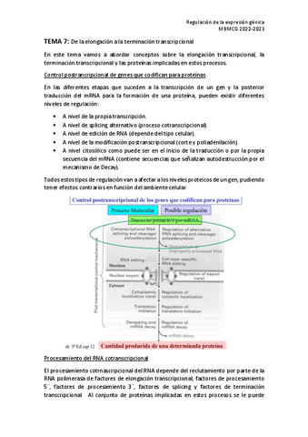 TEMA-7-RE.pdf