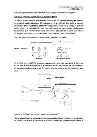 TEMA-8-RE.pdf