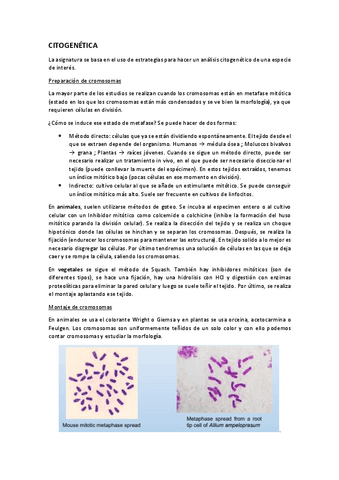 Citogenetica.pdf