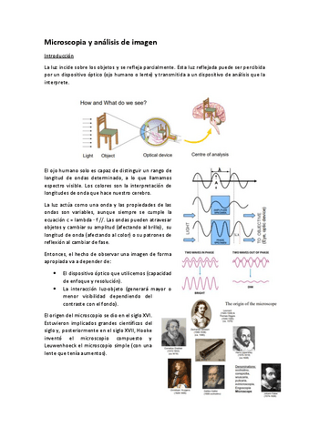 Microscopia-y-Analisis-de-imagen.pdf