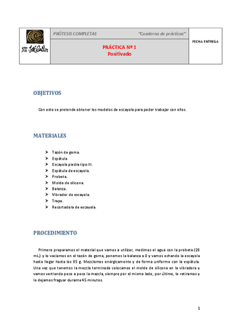 Practica-1.-Positivado..pdf