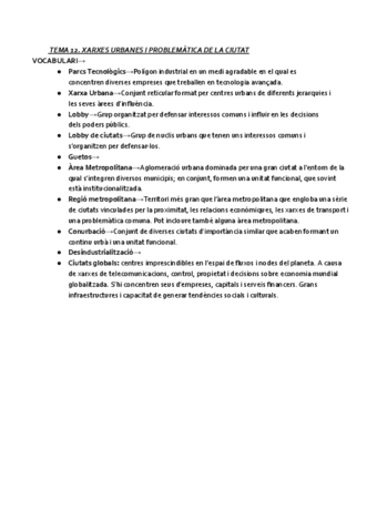 TEMA-12-XARXES-URBANES-I-PROBLEMATICA-DE-LA-CIUTAT.pdf