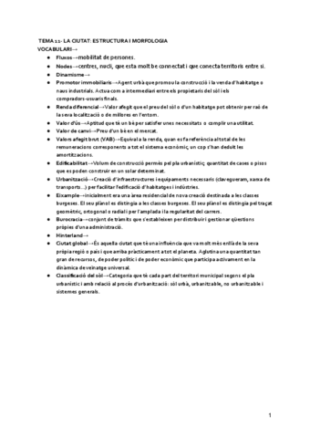 TEMA-11-LA-CIUTAT-ESTRUCTURA-I-MORFOLOGIA.pdf