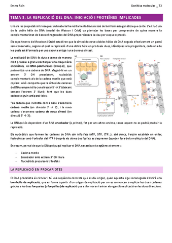 TEMA-3-genetica-molecular-W.pdf