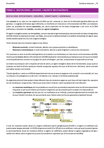TEMA-5-genetica-molecular-W.pdf