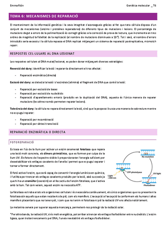 TEMA-6-genetica-molecular-W.pdf