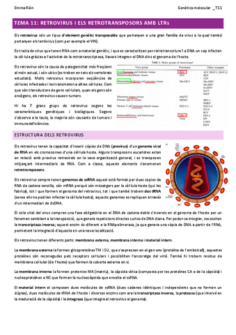 TEMA-11-genetica-molecular-W.pdf