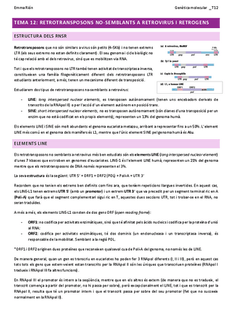 TEMA-12-genetica-molecular-W.pdf