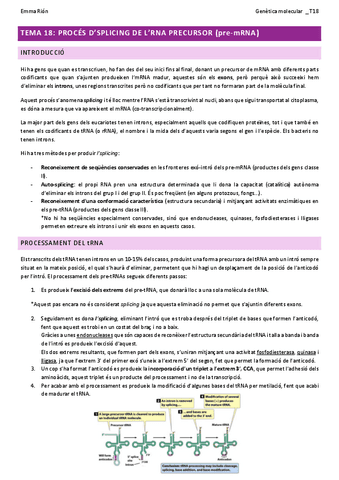 TEMA-18-genetica-molecular-W.pdf