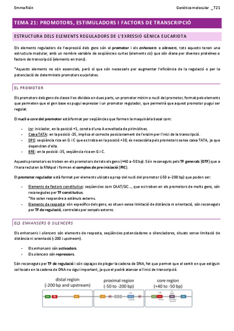 TEMA-21-genetica-molecular-W.pdf