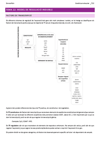 TEMA-22-genetica-molecular-W.pdf