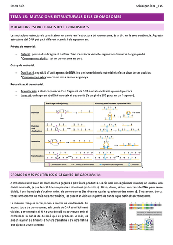 TEMA-15-analisi-genetica-W.pdf
