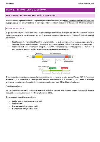 TEMA-17-analisi-genetica-W.pdf