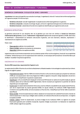 TEMA-18-analisi-genetica-W.pdf