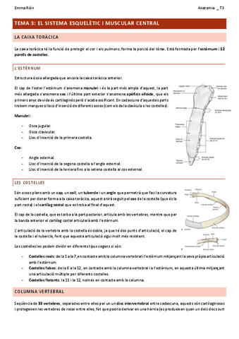 TEMA-3-anatomia.pdf