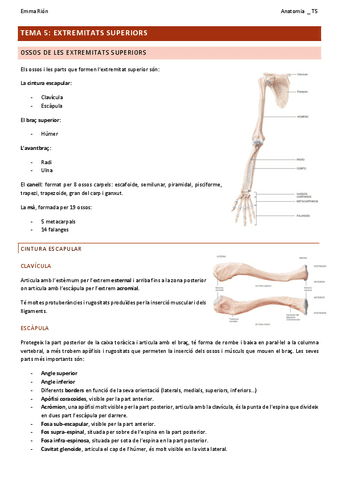 TEMA-5-anatomia.pdf