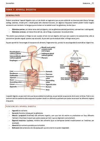 TEMA-7-anatomia.pdf