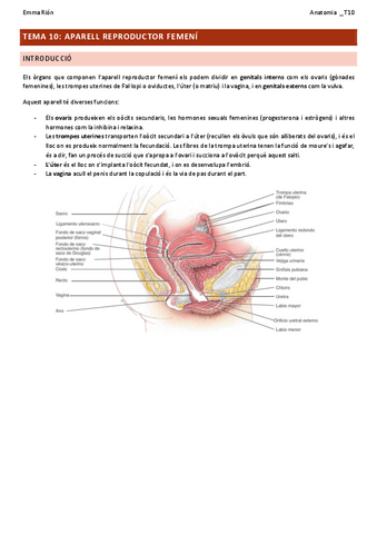 TEMA-10-anatomia.pdf