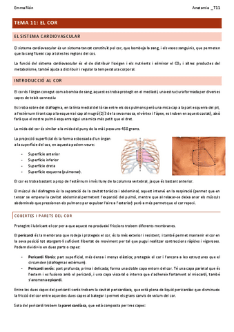 TEMA-11-anatomia.pdf
