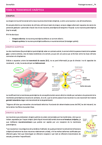 TEMA-4-fisio-humana-I.pdf