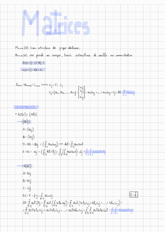 Tema-2-Matrices--Algebra-Lineal.pdf