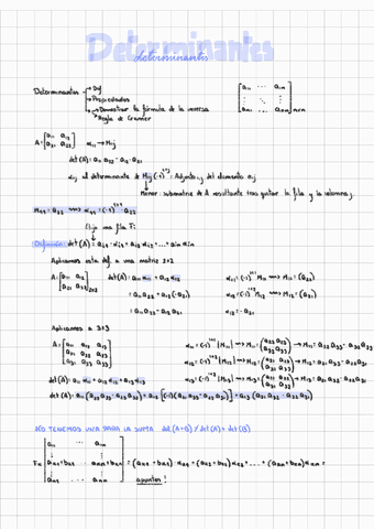 Tema-4-Determinantes--Algebra-Lineal.pdf
