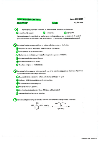 Seminario-2-Polimeros.pdf