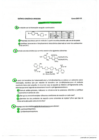 Seminario-3-Colorantes.pdf