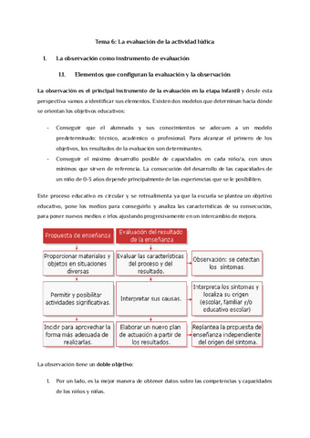 Tema-6-La-evaluacion-de-la-actividad-ludica.pdf