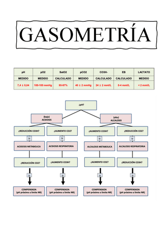 GASOMETRIA.pdf