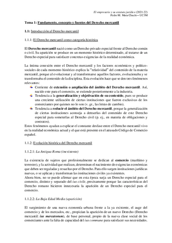 El empresario y su estatuto jurídico - Pedro Miguel Mata Chacín.pdf