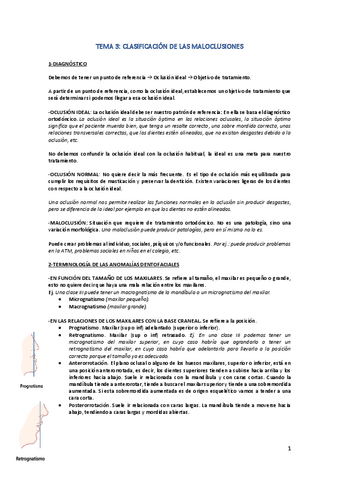 TEMA-3.pdf