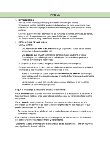 RESUMEN-VIRUS.pdf