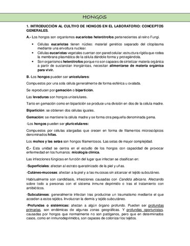 RESUMEN-HONGOS.pdf