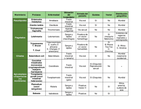 protozoos-tabla.pdf