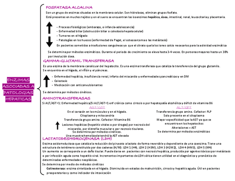 Alteraciones-por-enzimas-hepaticas.pdf