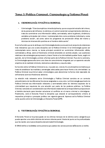 T3-POLITICA-CRIMINAL.pdf