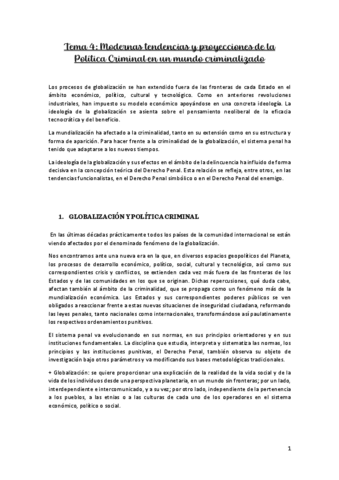T4-POLITICA-CRIMINAL.pdf