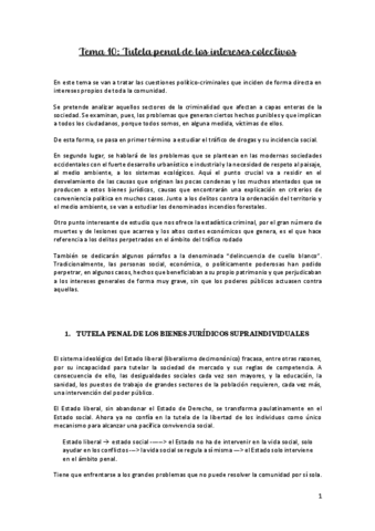 T10-POLITICA-CRIMINAL.pdf