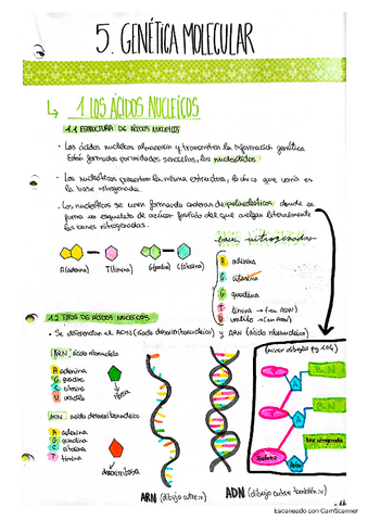 GENETICA-MOLECULAR.pdf