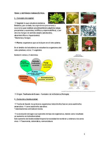 Botanicat1-t3.pdf