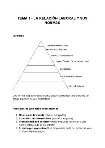 Tema-1-La-relacion-laboral-y-sus-normas.pdf